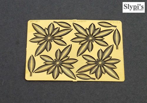 Fern leaves (1/72)